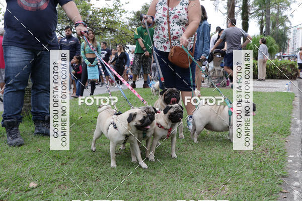 Buy your photos of the event13� C�ominhada - Santos on Fotop
