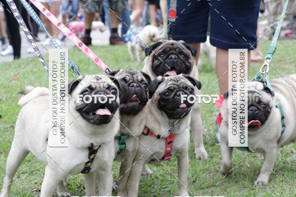 Buy your photos of the event13� C�ominhada - Santos on Fotop