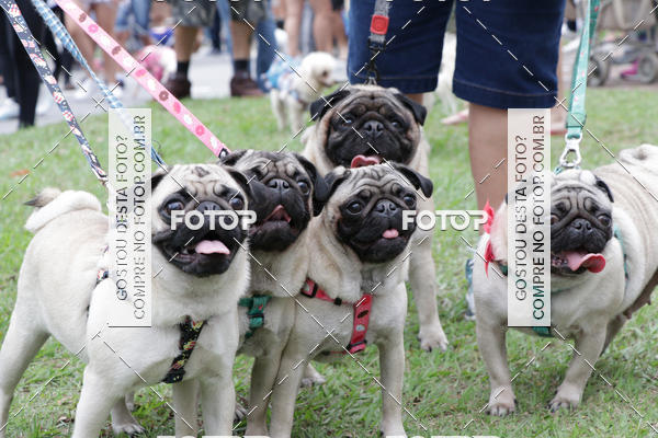 Buy your photos of the event13� C�ominhada - Santos on Fotop