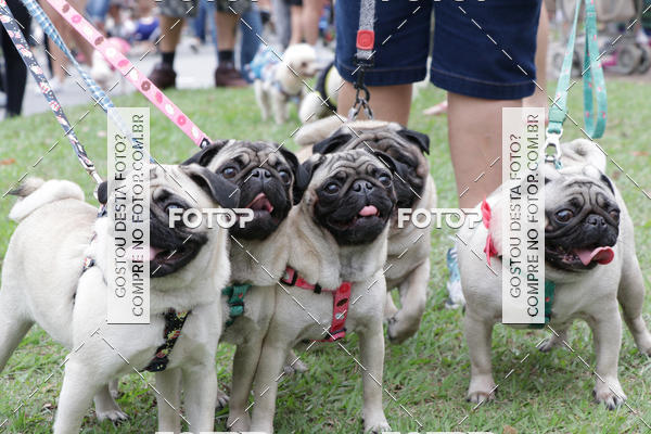 Buy your photos of the event13� C�ominhada - Santos on Fotop