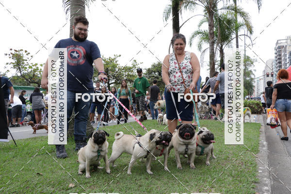 Buy your photos of the event13� C�ominhada - Santos on Fotop