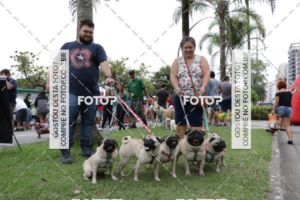 Buy your photos of the event13� C�ominhada - Santos on Fotop