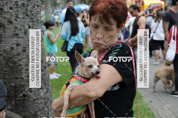 Buy your photos of the event13� C�ominhada - Santos on Fotop