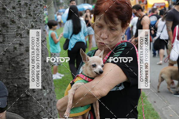 Buy your photos of the event13� C�ominhada - Santos on Fotop