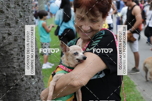 Buy your photos of the event13� C�ominhada - Santos on Fotop