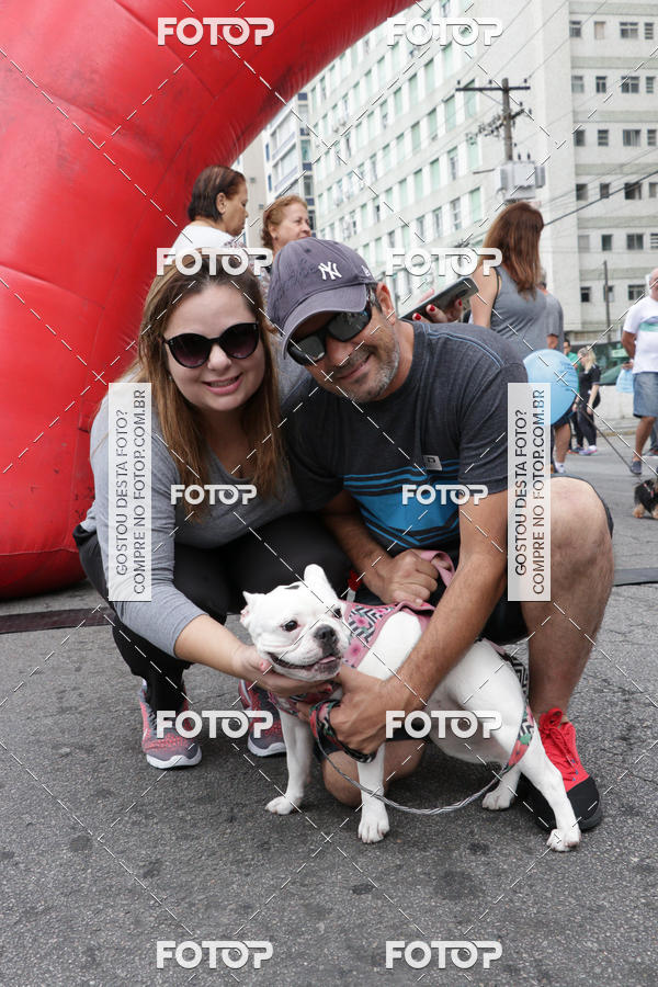 Buy your photos of the event13� C�ominhada - Santos on Fotop