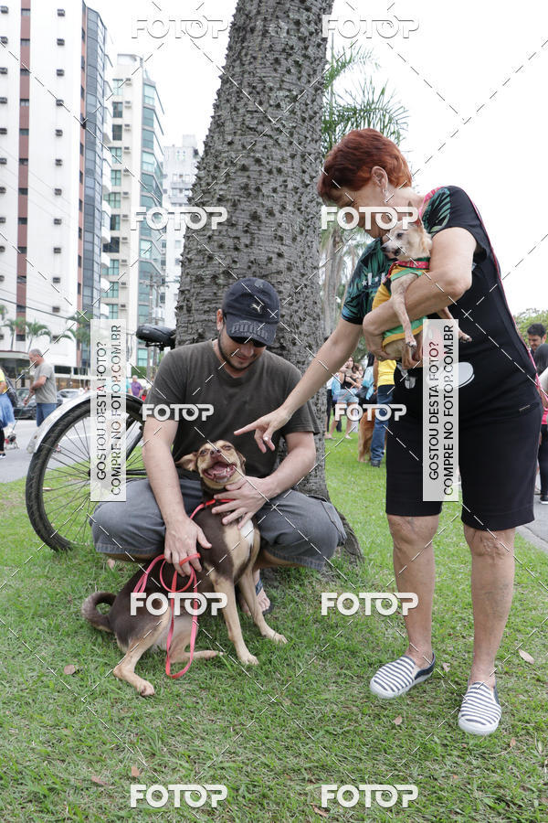 Buy your photos of the event13� C�ominhada - Santos on Fotop