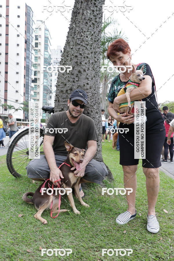 Buy your photos of the event13� C�ominhada - Santos on Fotop