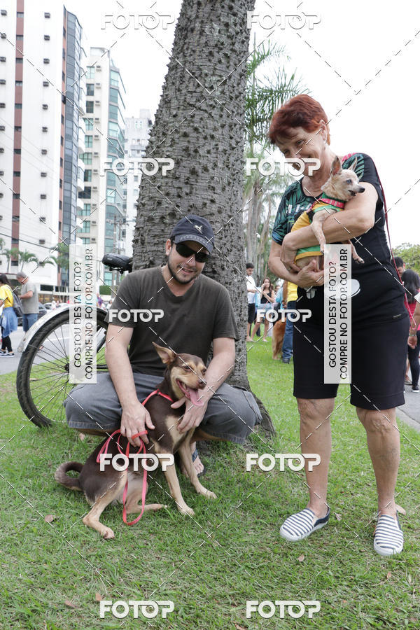 Buy your photos of the event13� C�ominhada - Santos on Fotop