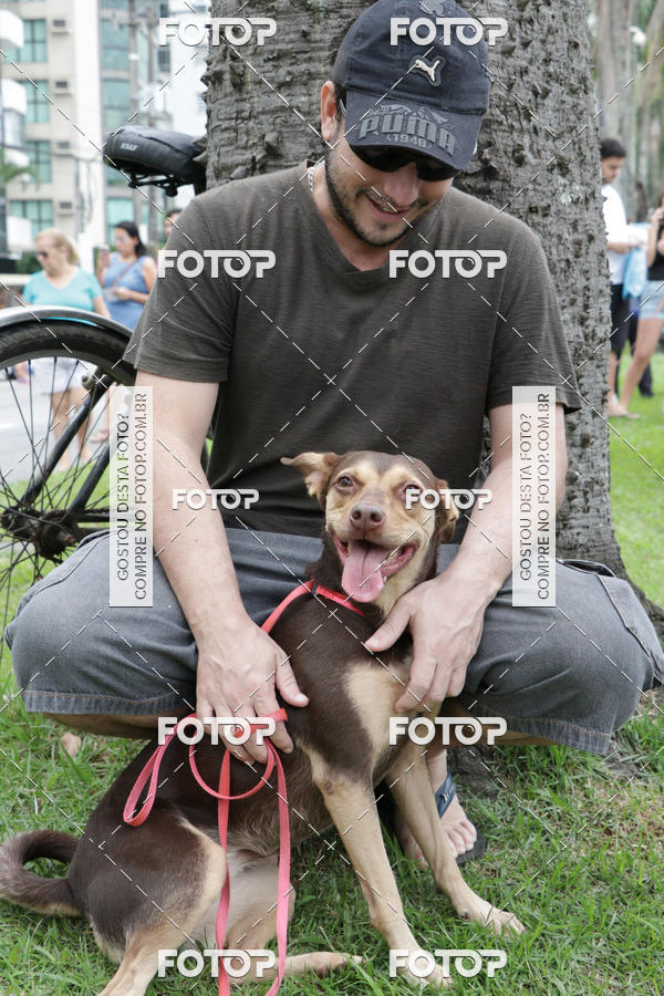 Buy your photos of the event13� C�ominhada - Santos on Fotop