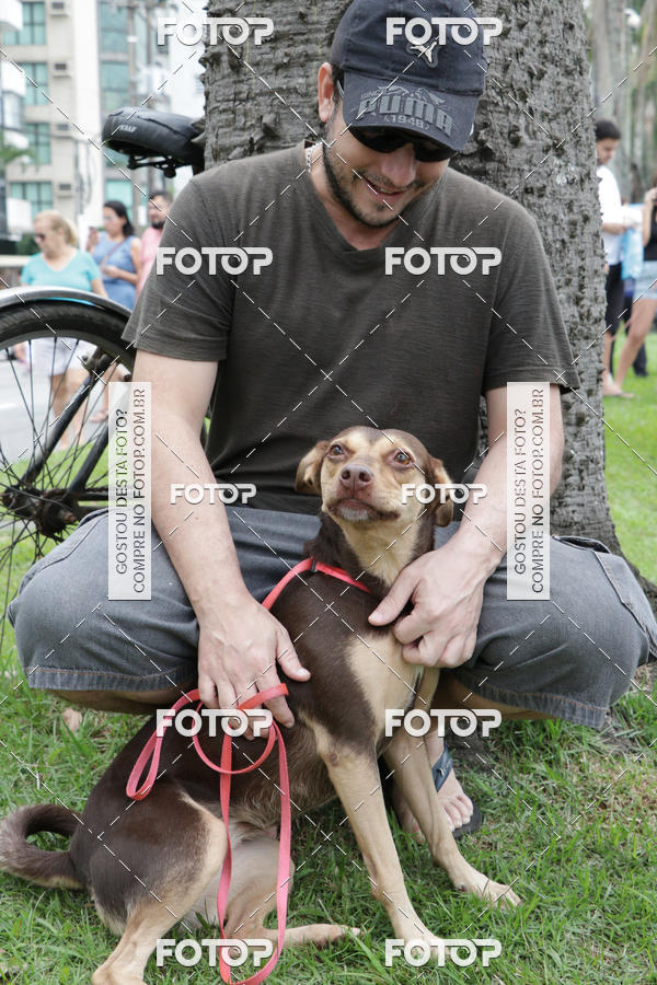 Buy your photos of the event13� C�ominhada - Santos on Fotop