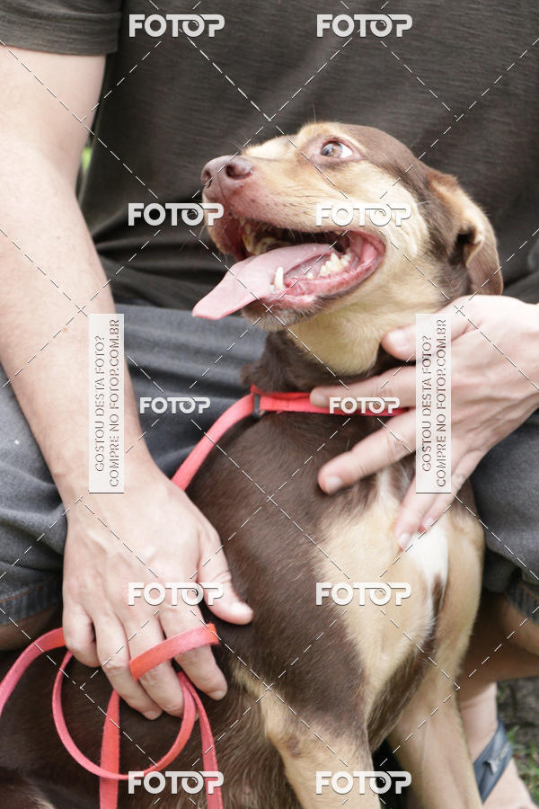 Buy your photos of the event13� C�ominhada - Santos on Fotop