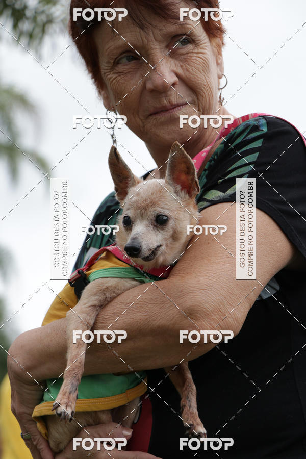 Buy your photos of the event13� C�ominhada - Santos on Fotop