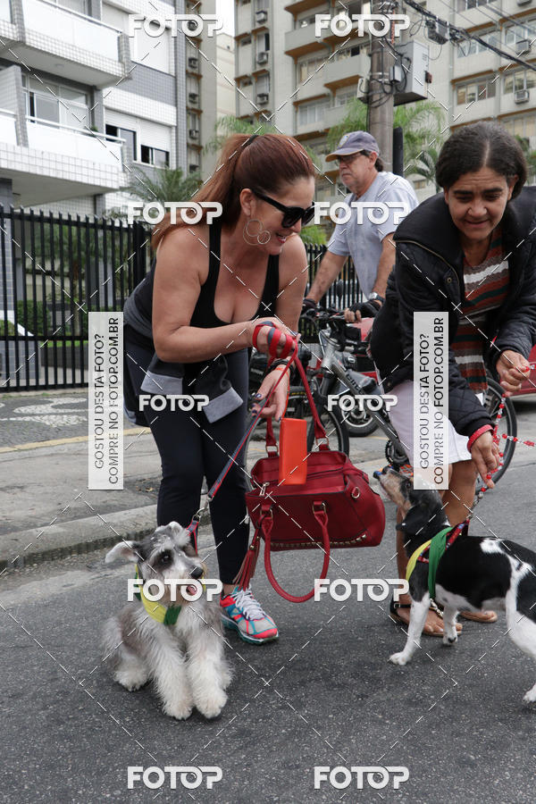 Buy your photos of the event13� C�ominhada - Santos on Fotop