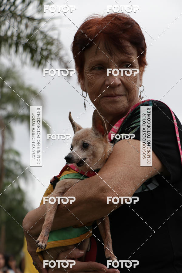 Buy your photos of the event13� C�ominhada - Santos on Fotop