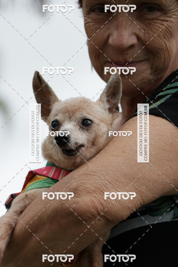 Buy your photos of the event13� C�ominhada - Santos on Fotop