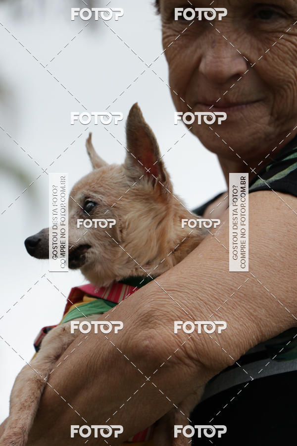 Buy your photos of the event13� C�ominhada - Santos on Fotop