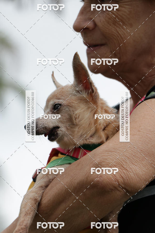 Buy your photos of the event13� C�ominhada - Santos on Fotop