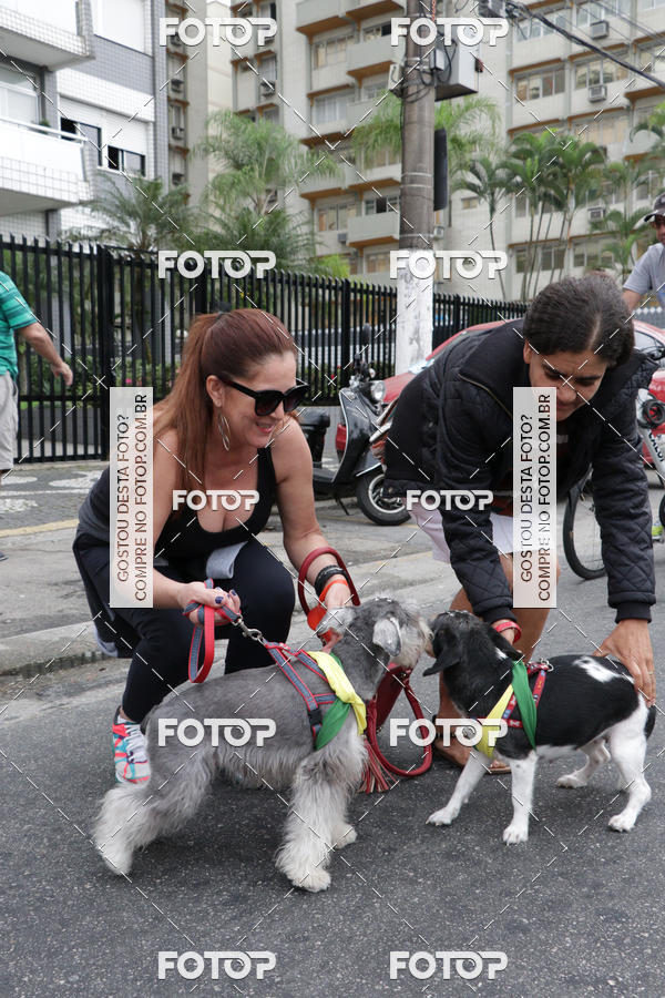 Buy your photos of the event13� C�ominhada - Santos on Fotop