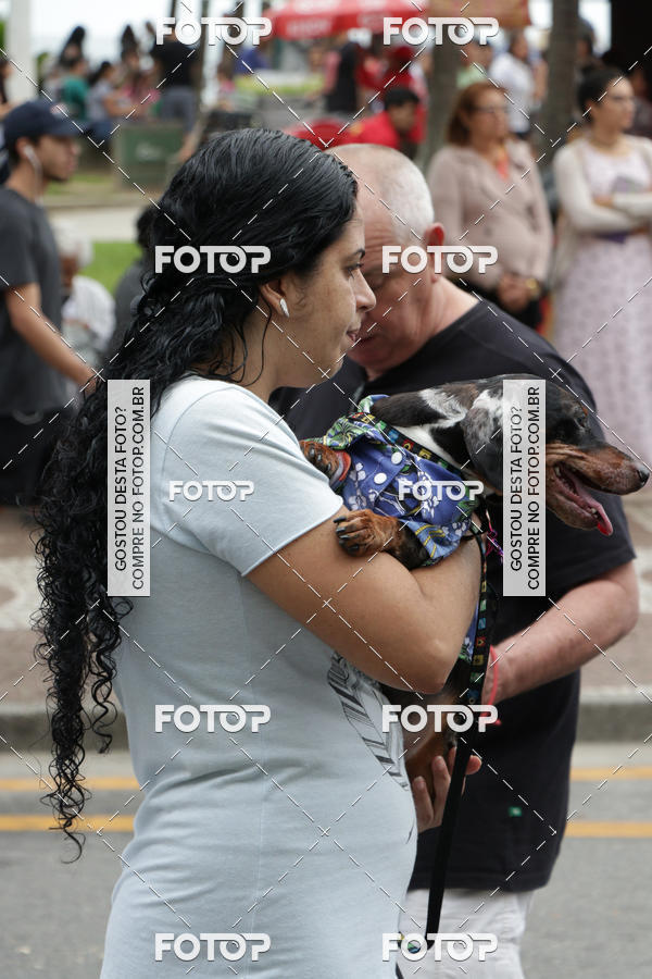 Buy your photos of the event13� C�ominhada - Santos on Fotop