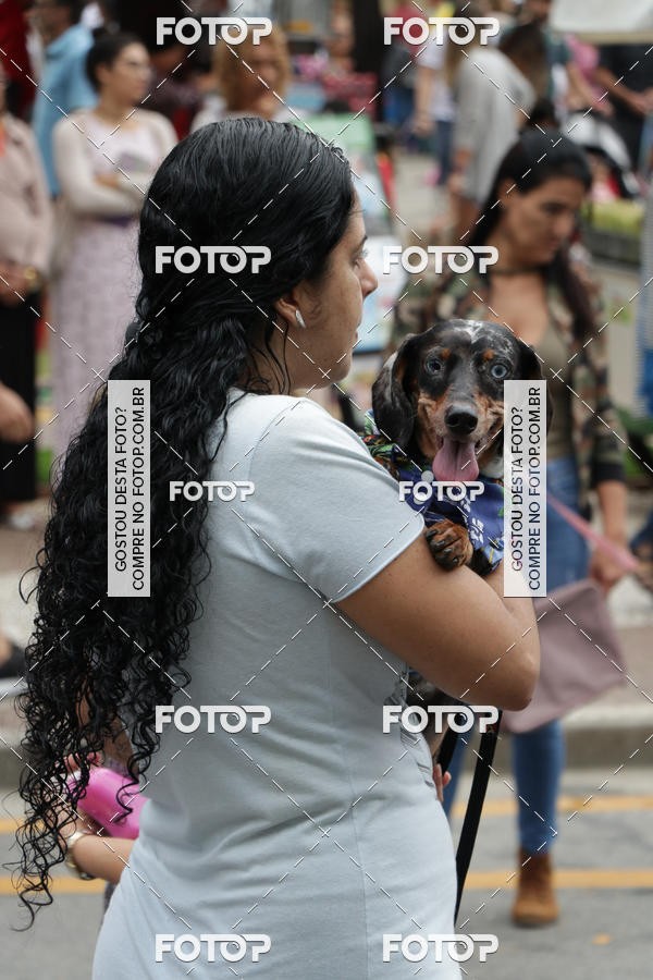 Buy your photos of the event13� C�ominhada - Santos on Fotop