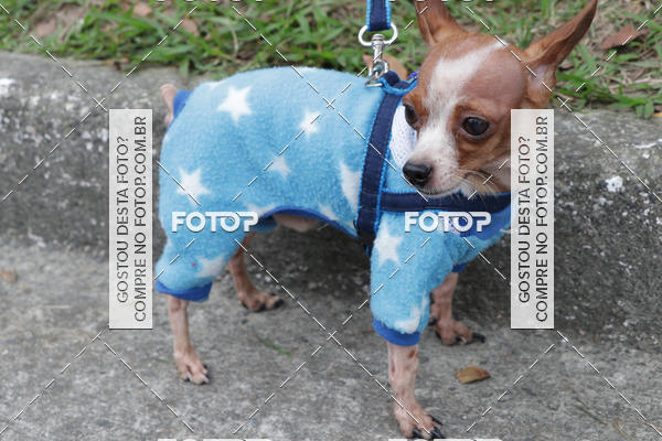 Buy your photos of the event13� C�ominhada - Santos on Fotop