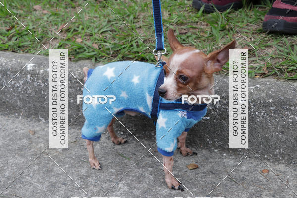 Buy your photos of the event13� C�ominhada - Santos on Fotop