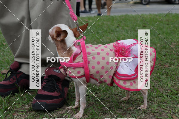 Buy your photos of the event13� C�ominhada - Santos on Fotop