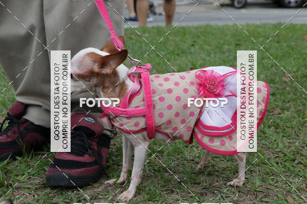 Buy your photos of the event13� C�ominhada - Santos on Fotop