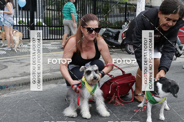 Buy your photos of the event13� C�ominhada - Santos on Fotop