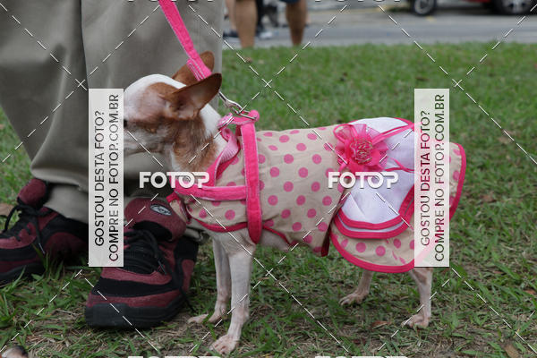 Buy your photos of the event13� C�ominhada - Santos on Fotop