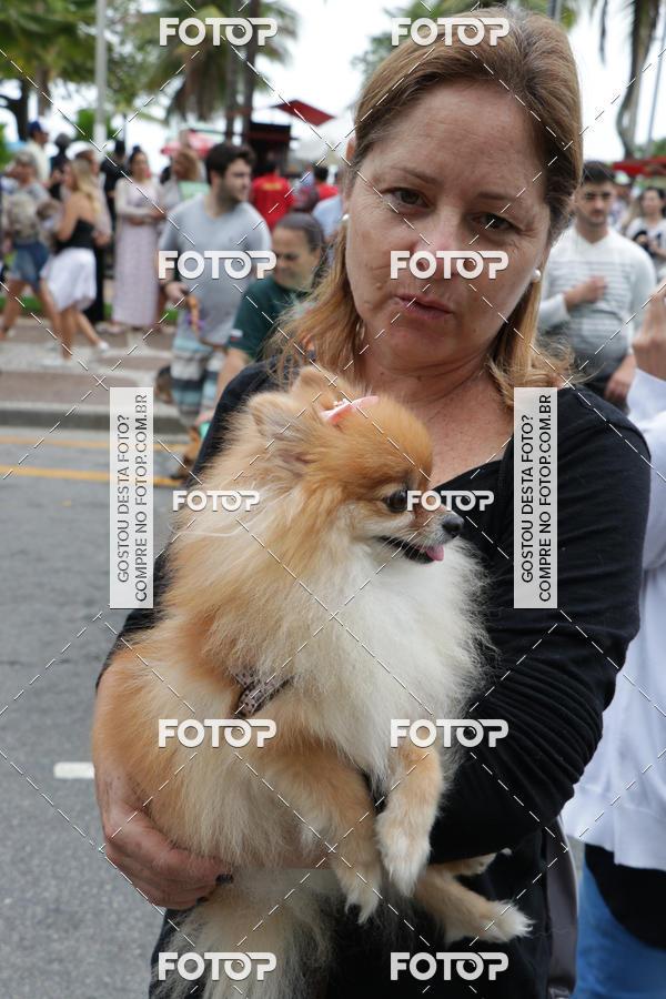 Buy your photos of the event13� C�ominhada - Santos on Fotop