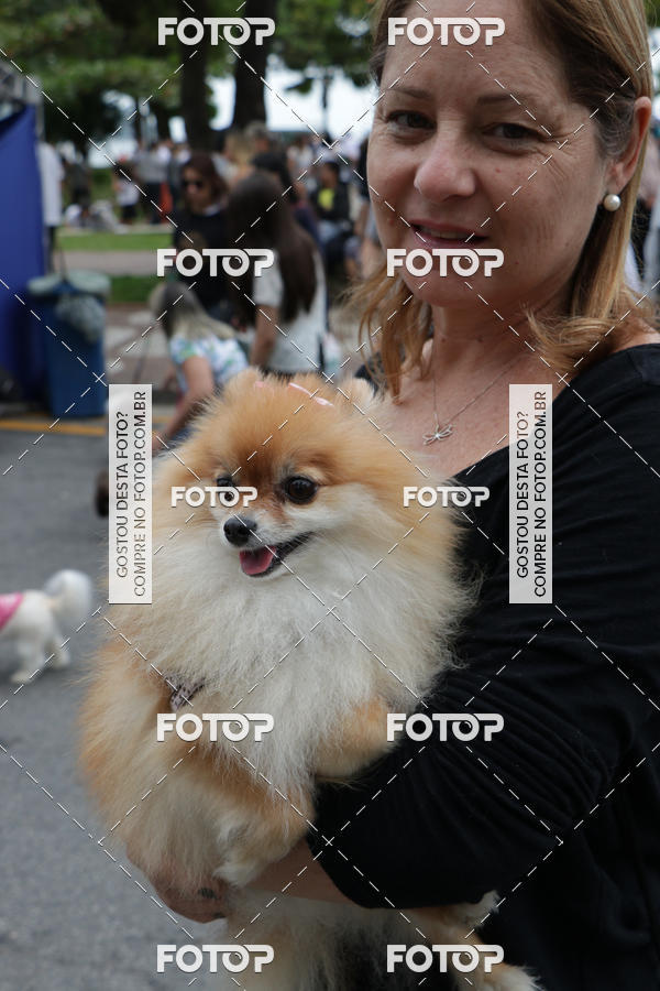 Buy your photos of the event13� C�ominhada - Santos on Fotop