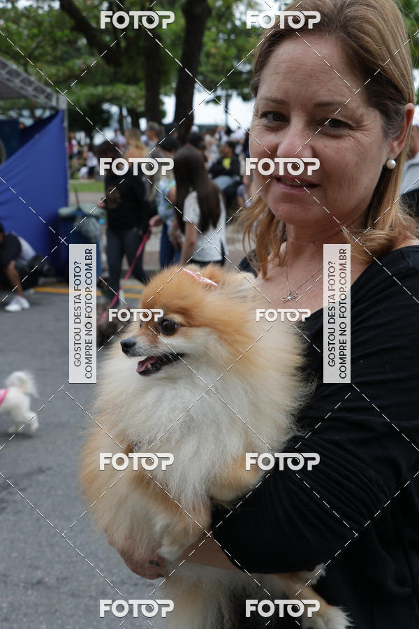 Buy your photos of the event13� C�ominhada - Santos on Fotop