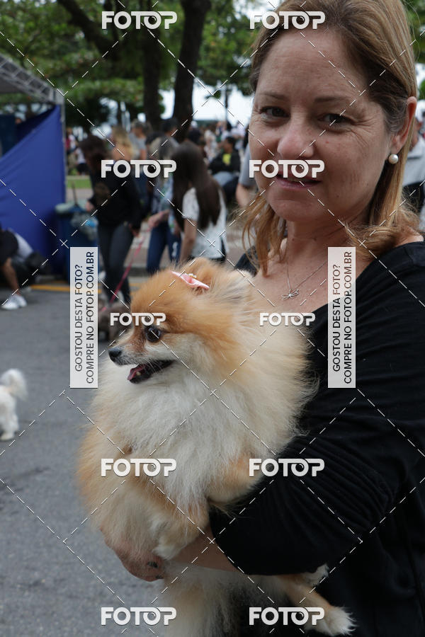 Buy your photos of the event13� C�ominhada - Santos on Fotop