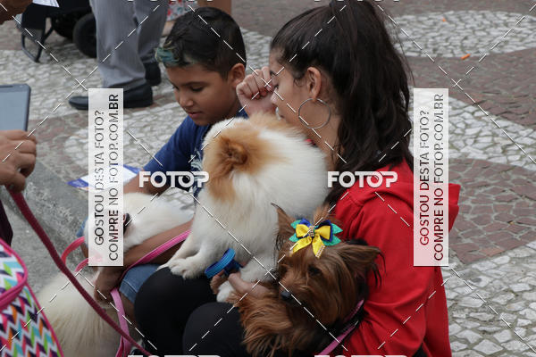 Buy your photos of the event13� C�ominhada - Santos on Fotop