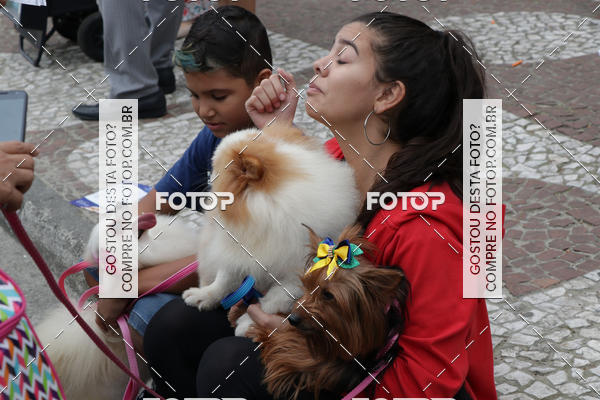 Buy your photos of the event13� C�ominhada - Santos on Fotop