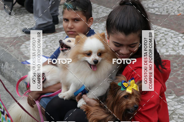 Buy your photos of the event13� C�ominhada - Santos on Fotop