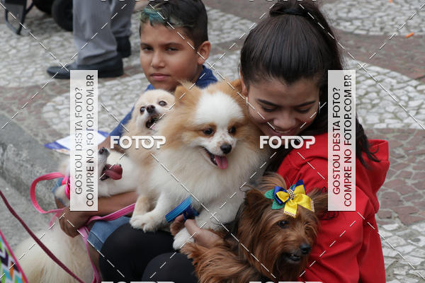 Buy your photos of the event13� C�ominhada - Santos on Fotop