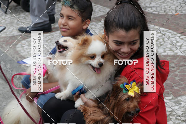 Buy your photos of the event13� C�ominhada - Santos on Fotop