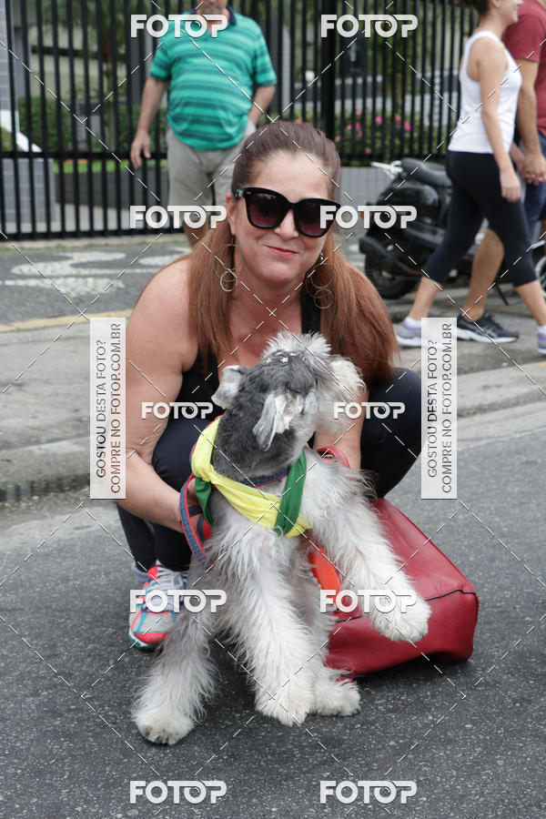 Buy your photos of the event13� C�ominhada - Santos on Fotop