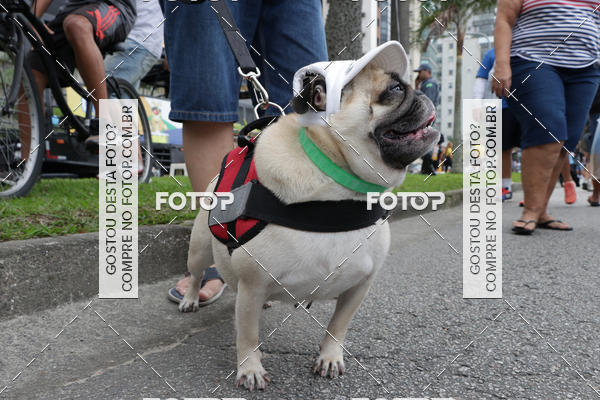 Buy your photos of the event13 Cominhada - Santos on Fotop