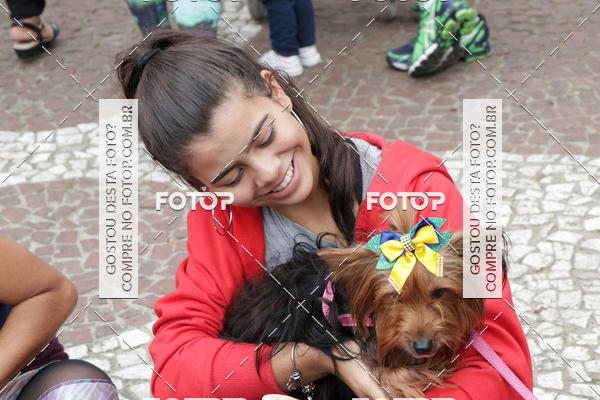 Buy your photos of the event13� C�ominhada - Santos on Fotop