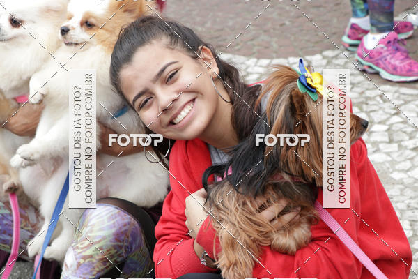 Buy your photos of the event13� C�ominhada - Santos on Fotop