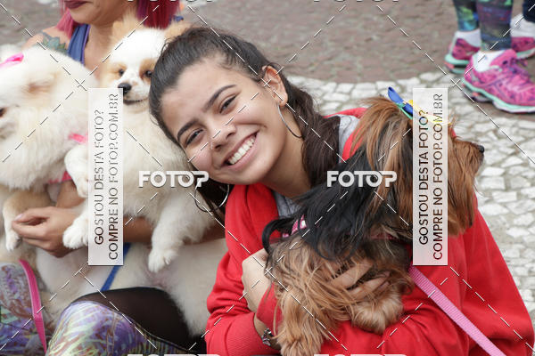 Buy your photos of the event13� C�ominhada - Santos on Fotop