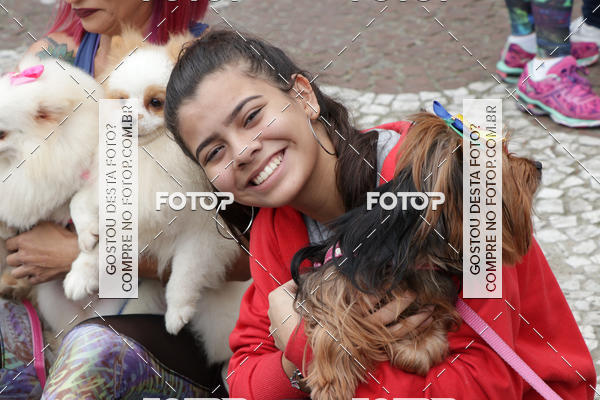 Buy your photos of the event13� C�ominhada - Santos on Fotop