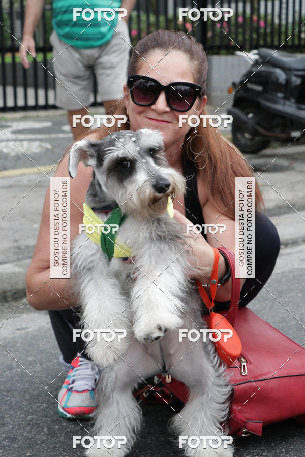 Buy your photos of the event13� C�ominhada - Santos on Fotop