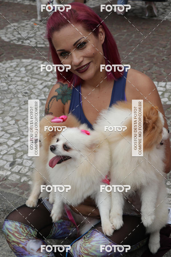 Buy your photos of the event13� C�ominhada - Santos on Fotop