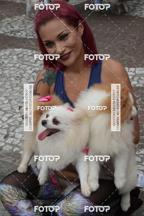 Buy your photos of the event13� C�ominhada - Santos on Fotop