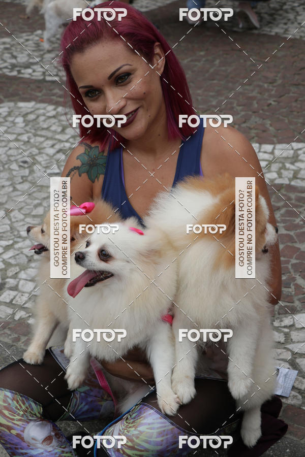 Buy your photos of the event13� C�ominhada - Santos on Fotop